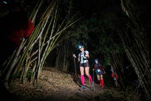 BIB: 
                            <button type="button" onclick="openModal(19395050)" class="btn btn-primary btn-sm float-right btn-popup" data-toggle="modal" data-target=".modal-high-quality">
                        <i class="fas fa-shopping-cart"></i> Add to Cart
                    </button>
                                            <button type="button" onclick="isThisMe(19395050, true)" class="btn btn-success btn-sm float-right btn-popup btn-isme hidden" data-toggle="tooltip" data-placement="bottom" title="นี่คือรูปของคุณใช่ไหม คลิกที่นี่เพื่อเอาเข้าอัลบั้ม">
                        <i class="fas fa-plus"></i> Add to album
                    </button>
                    <button type="button" onclick="isThisMe(19395050, false)" class="btn btn-warning btn-sm float-right btn-popup btn-isnotme hidden">
                        <i class="fas fa-ban"></i> Remove from album
                    </button>